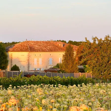 Maison Cosy Avec Jardin Cloture A *